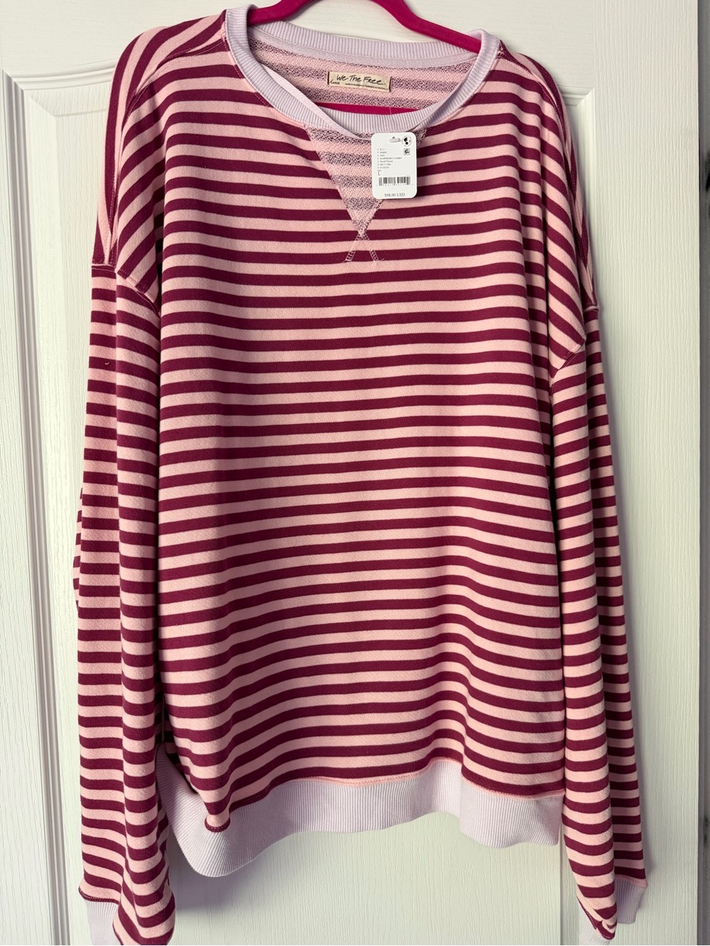 Pink & Wine Striped Women’s Long Sleeve Top Free People